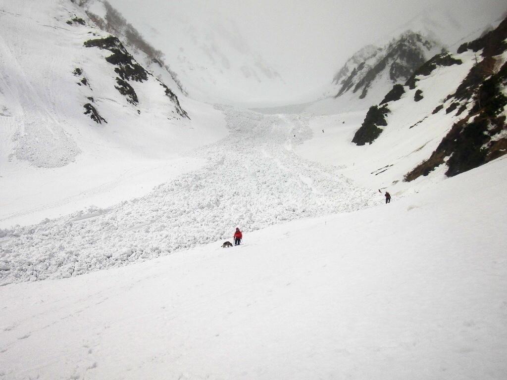 雪崩デブリと救助犬による調査